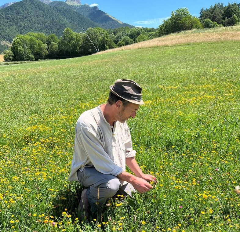 Festival Lignes de Crêtes : Balade botanique et poétique avec Gregori Lemoine, ethnobotanniste_Champoléon
