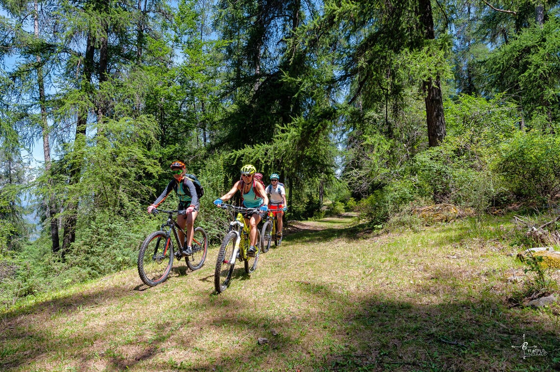Liaison VTT - Chabanon - Le Grand Puy