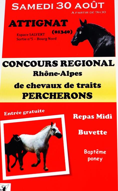 Affiche présentation