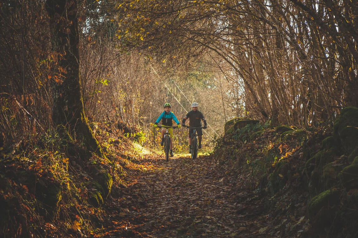 Balade en VTT à Villerest