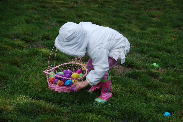 Chasse aux oeufs