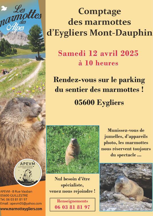 Comptage des marmottes d'Eygliers Mont-Dauphin_Eygliers