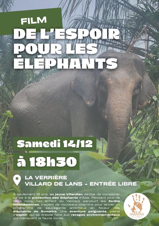 film "De l'espoir pour les éléphants"_Villard-de-Lans