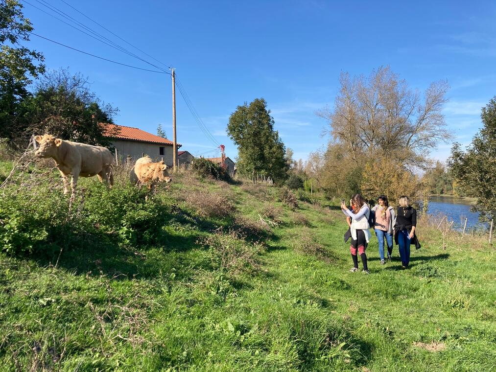 Marche au profit du Téléthon_Feurs