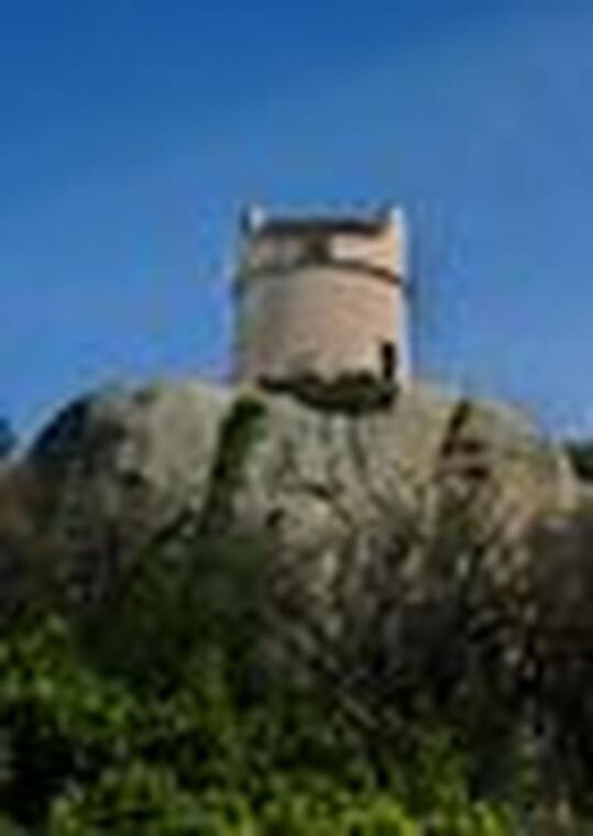 img-name-mising