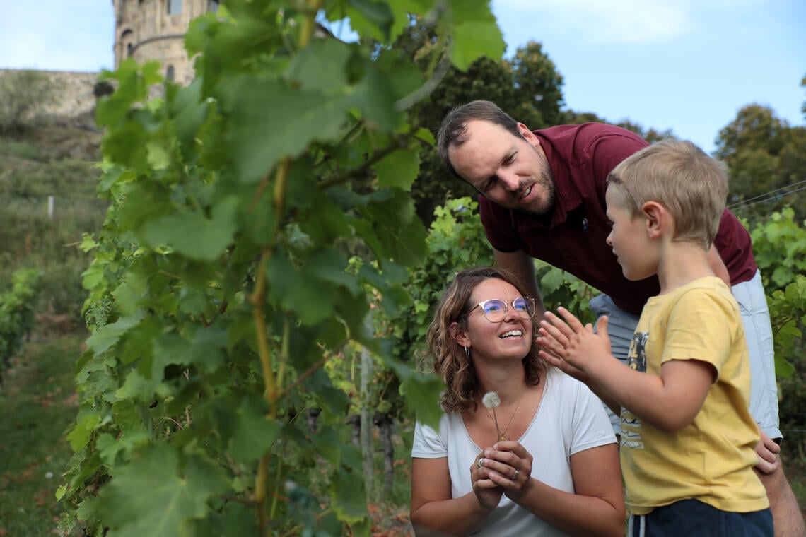 Dans les vignes