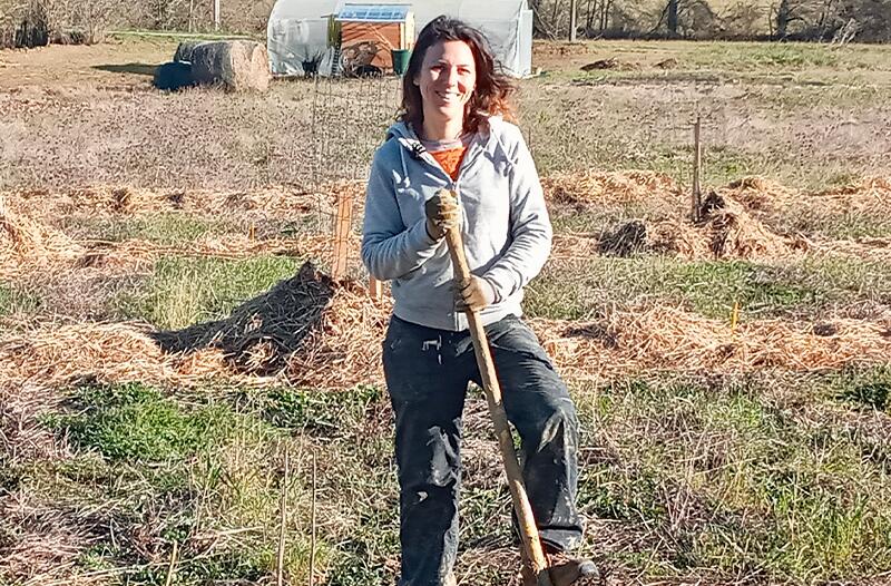 Les herbes de Johanne