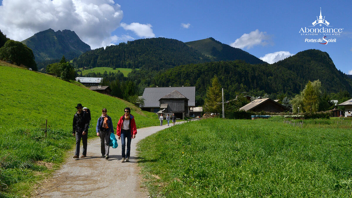 Sentier Tour du Village - Abondance