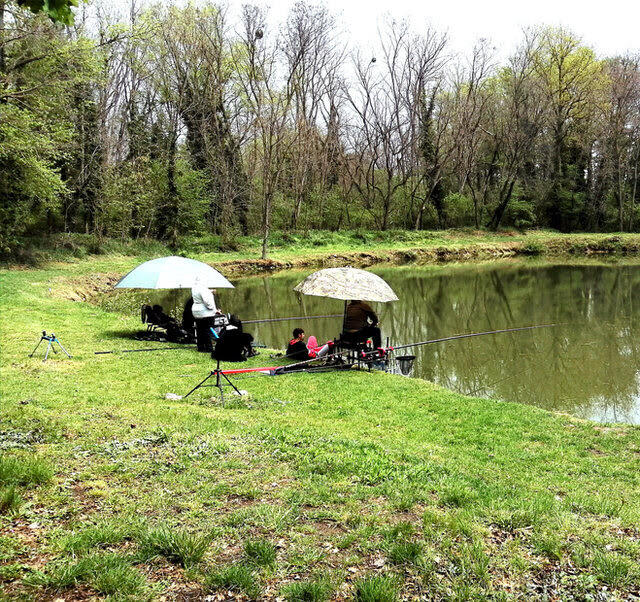 Initiation à la pêche de la truite pour les enfants_Saint-Marcellin-en-Forez