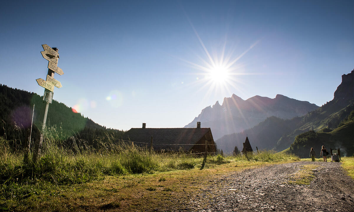 Vue sur les Dents du Midi