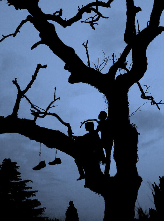 Exposition "La forêt : jours et nuits"