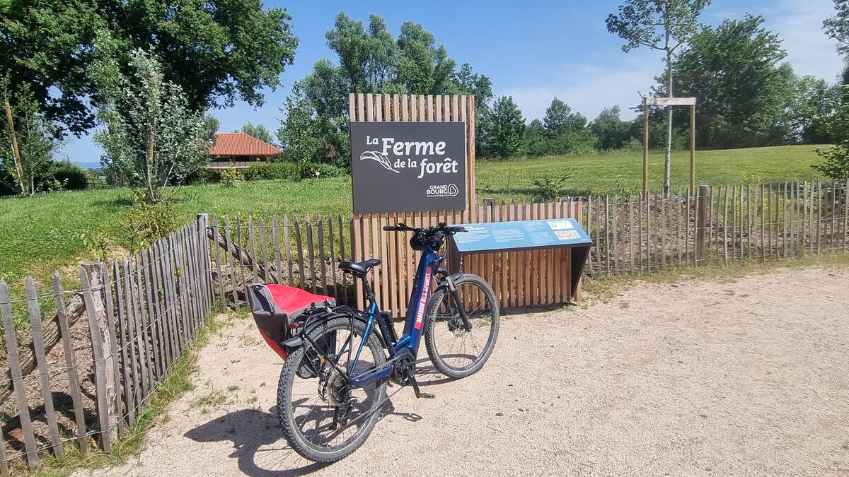 Liaison VTT-VTC (L2) Mantenay - Ferme de la Forêt_Mantenay-Montlin