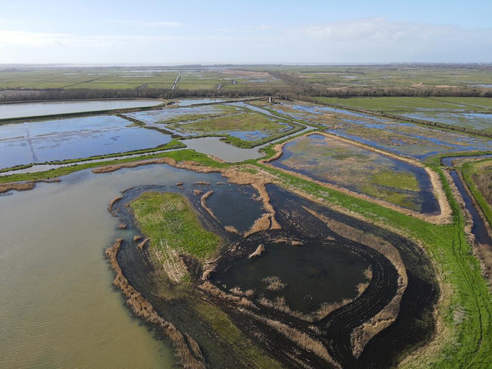 Découverte de la biodiversité_Breuil-Magné