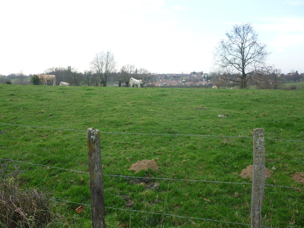 Vue de Foissiat