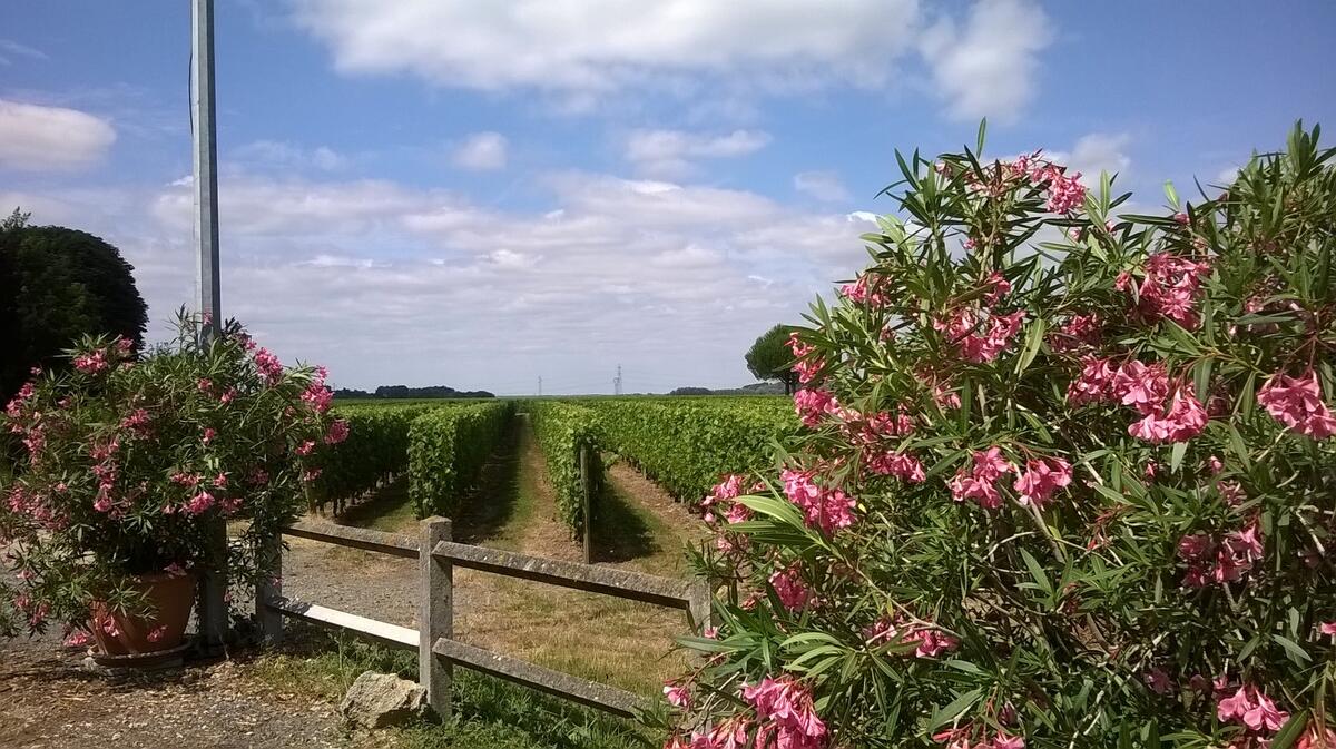 Domaine des Bonnes Gagnes