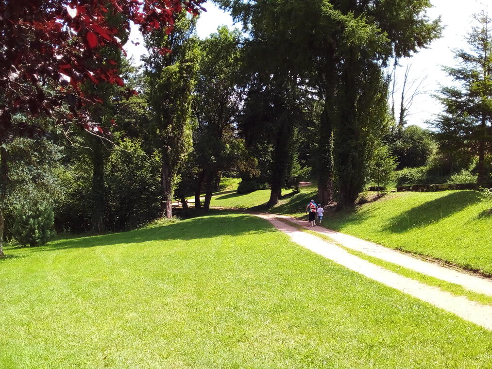 Balade botanique à Belmont-De-La-Loire_Belmont-de-la-Loire