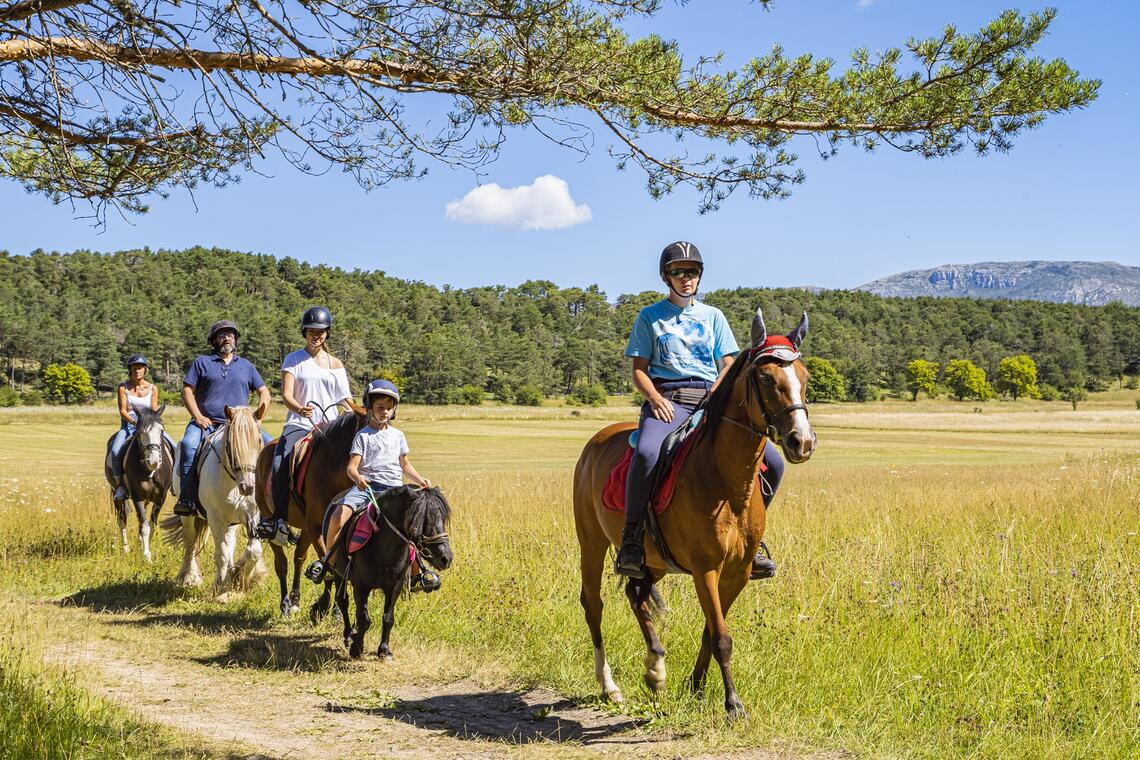 Route Napoléon à cheval