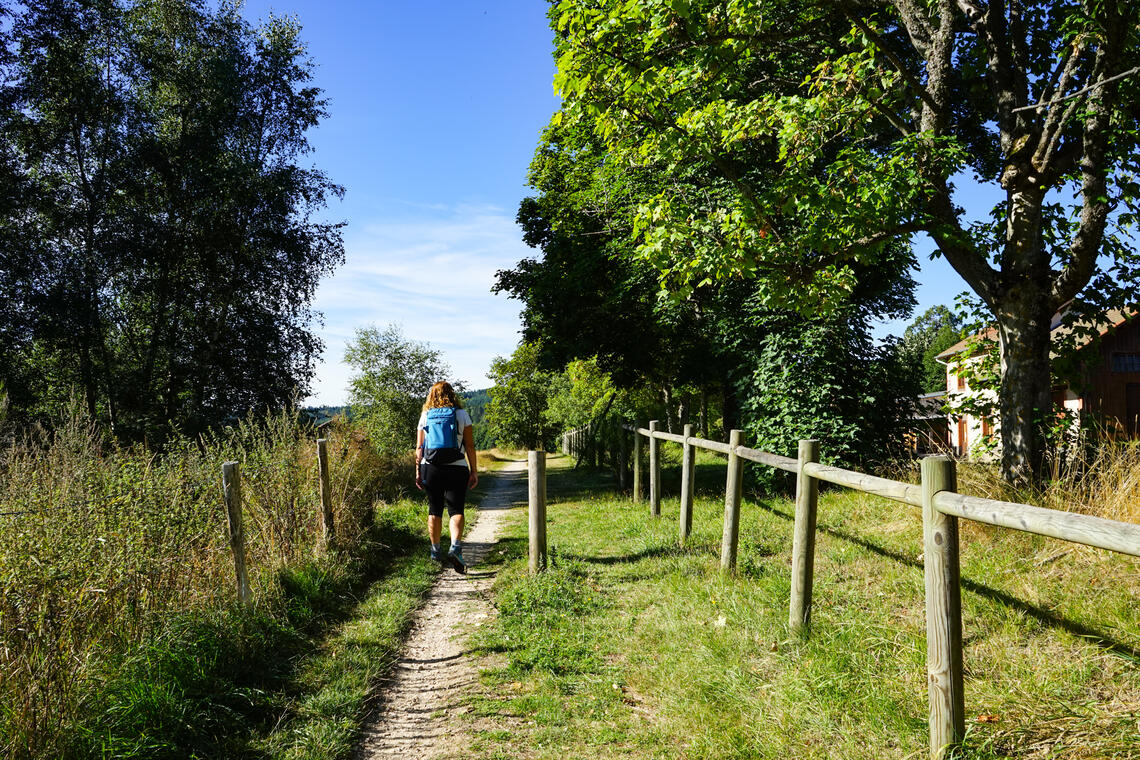 L'Aventure du rail_Saint-Marcellin-en-Forez