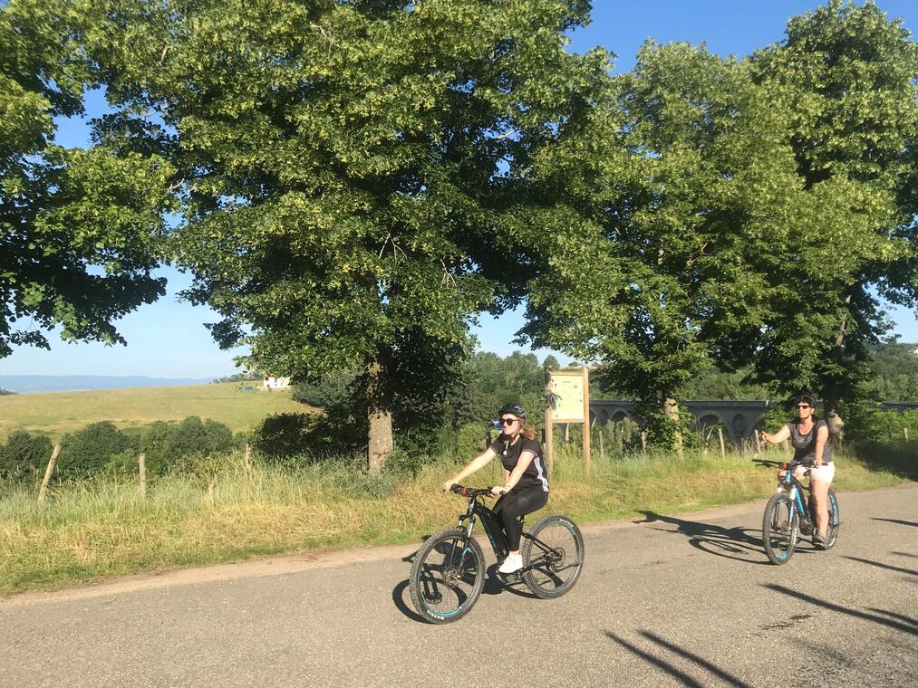 Circuit des bords de Loire de Pinay