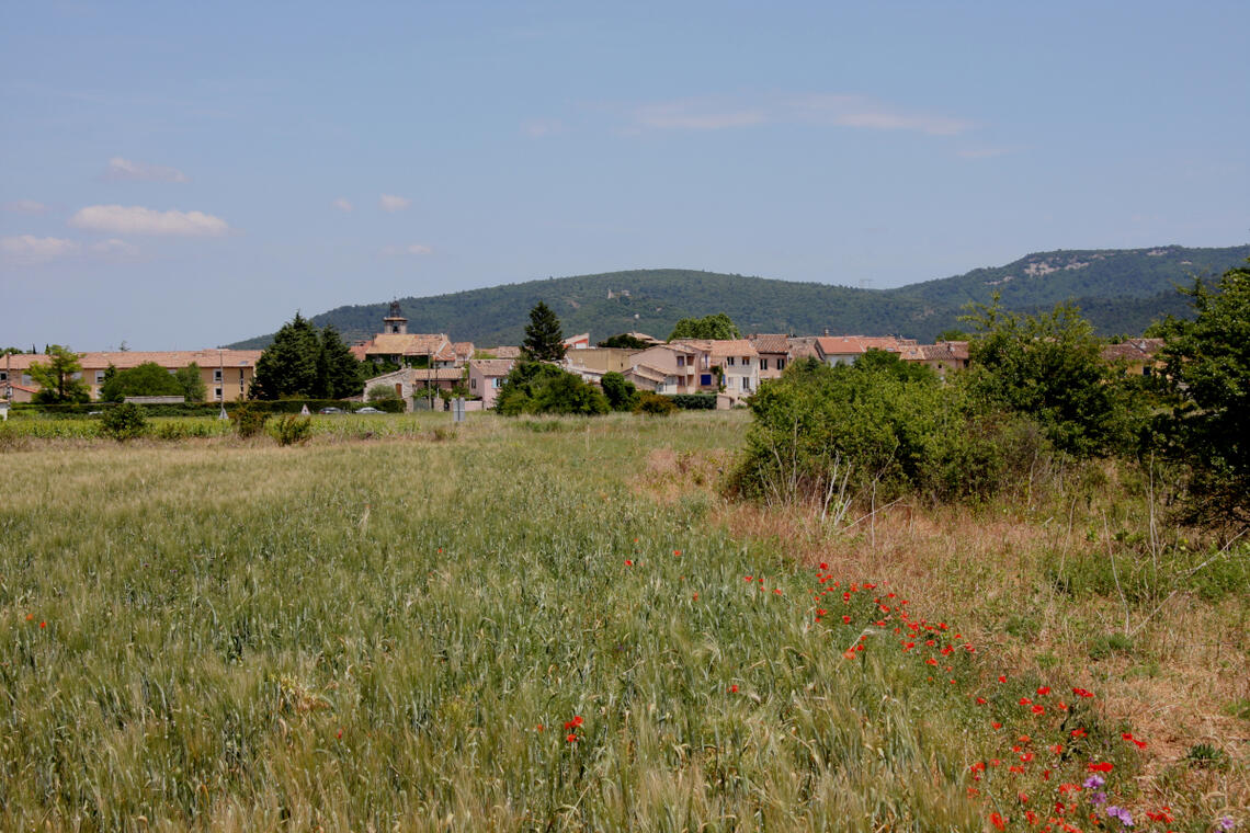 Randonnée dans le bois de Cavaillon, Garéoult