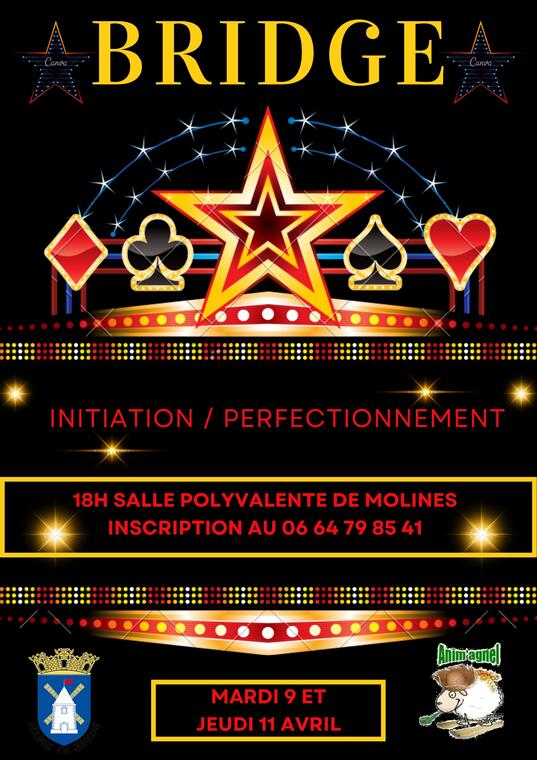 Initiation/perfectionnement au bridge