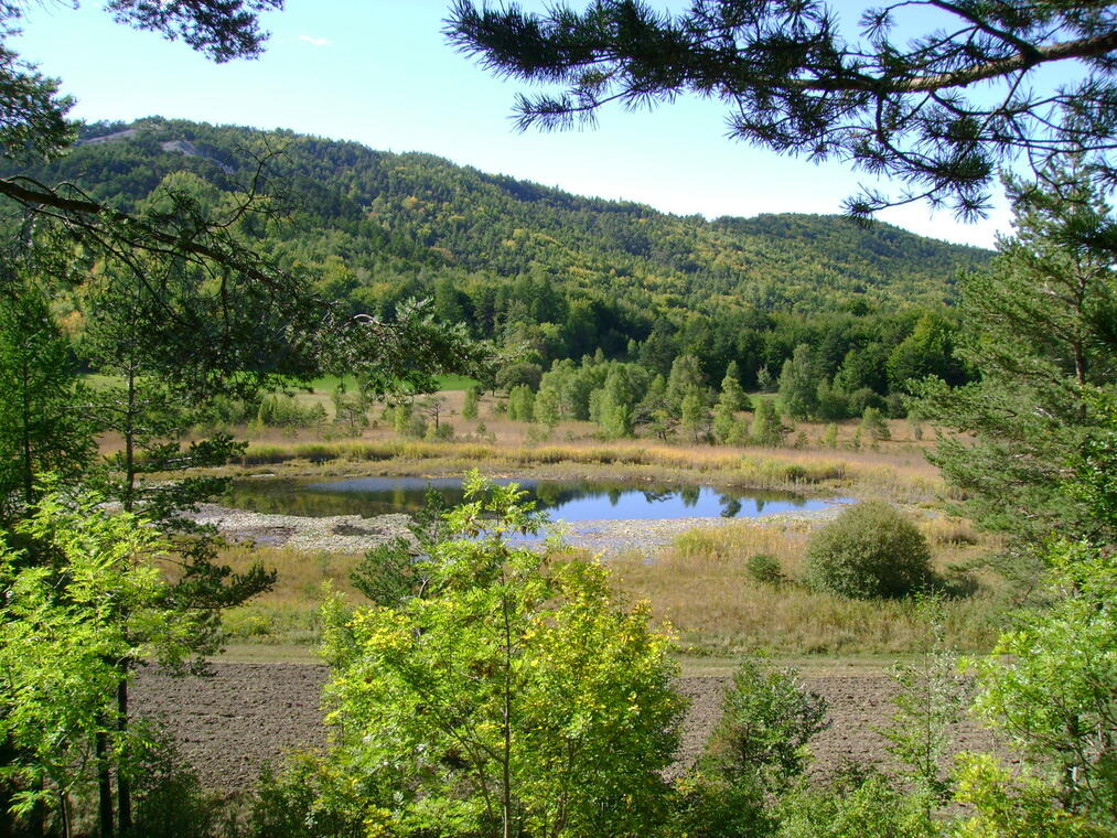 Le lac de St Léger