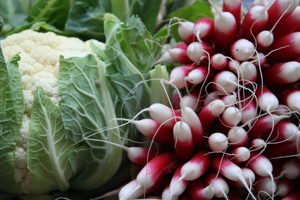 legumes_credit Baud photo club bressan