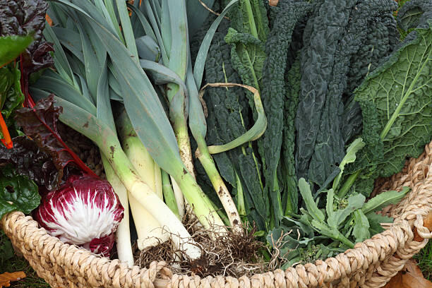 Marché Bio_Saint-Denis-lès-Bourg