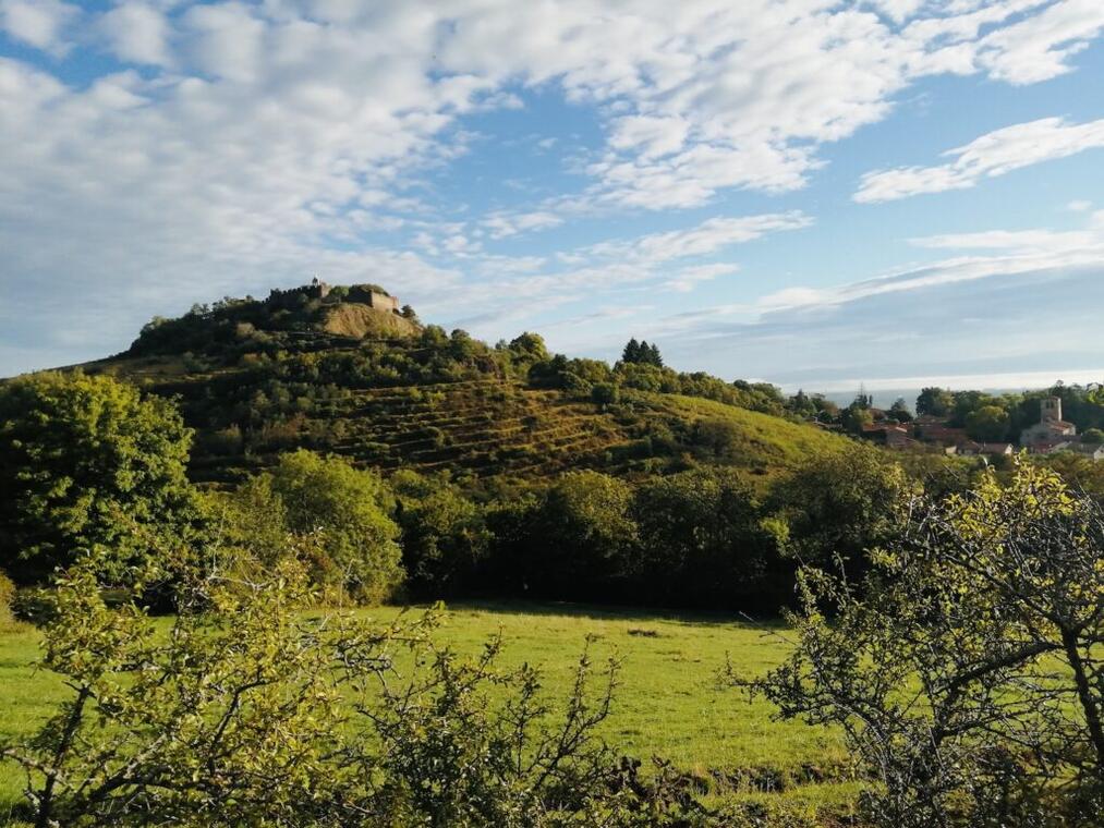 Stage de peinture en extérieur_Marcilly-le-Châtel