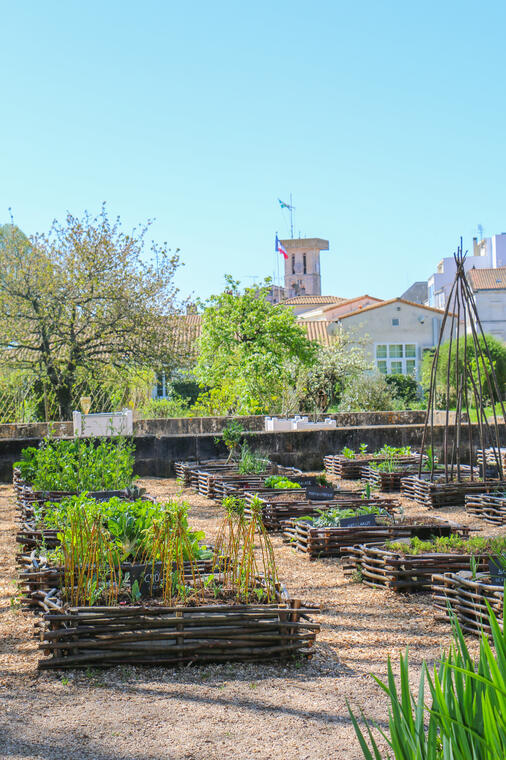 Potager du Roy