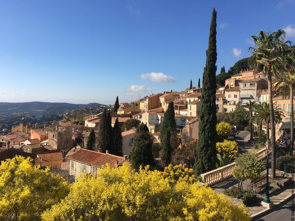 Bormes-les-Mimosas