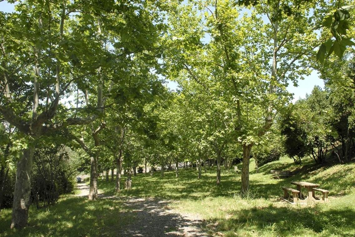 Parc Méditerranéen de Conilhères