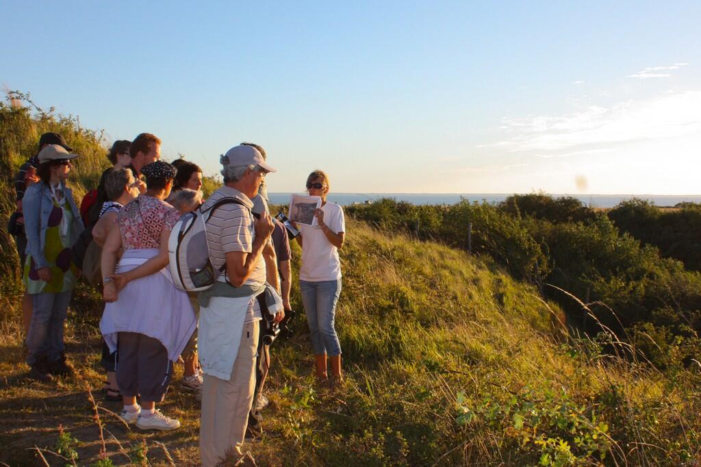 Visite guidée du fort de l'île Madame