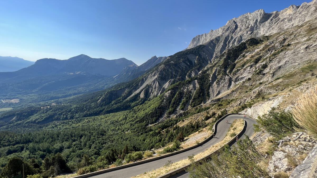 Festival de l'Alpage : À la découverte des plantes du Col du Noyer_Le Noyer
