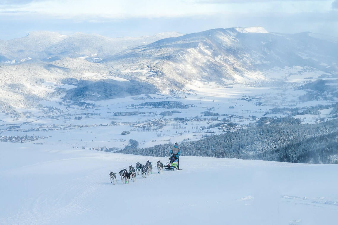 Musher et chiens de traineaux