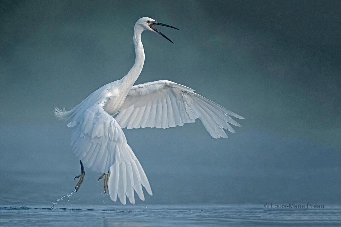 Loire et Nature