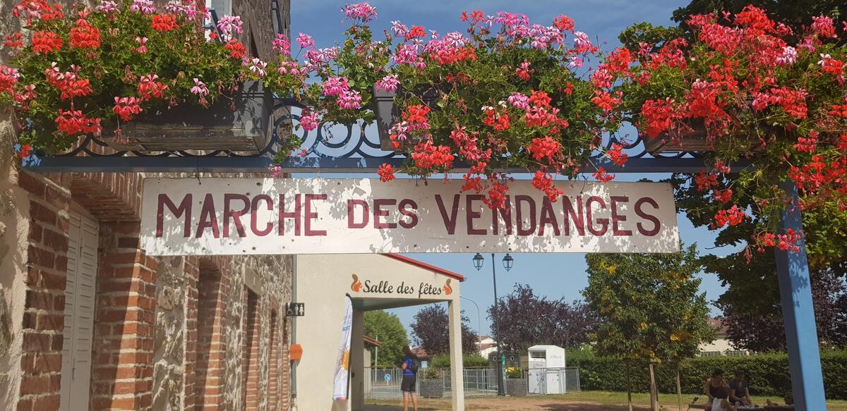 Marche des vendanges