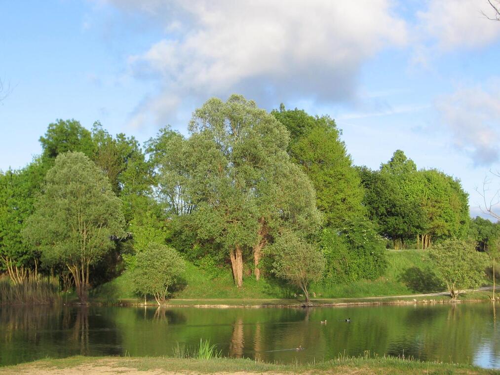 Lac de Trizay
