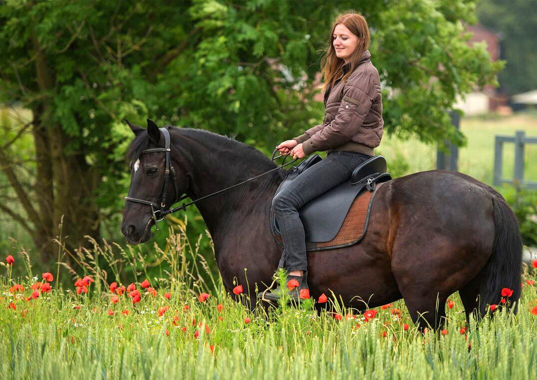 Randonnée à cheval