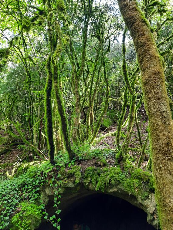 Vallée du Madet