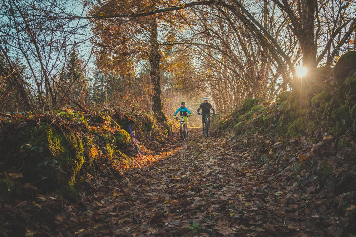 Balade en VTT à Villerest