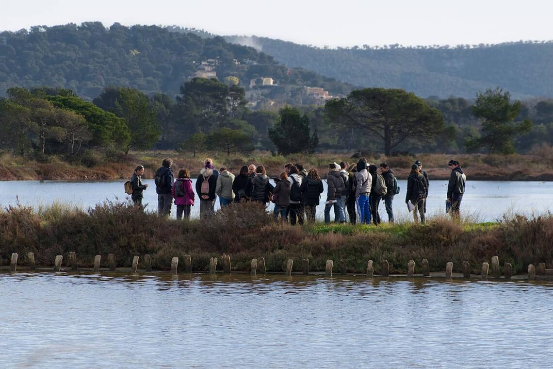 Balade randonnée sur le littoral des vieux salins à la rencontre des oiseaux marins