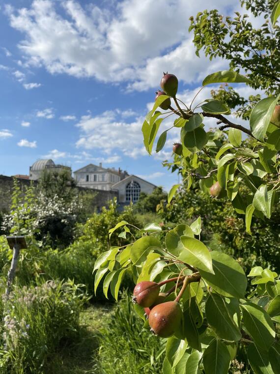 Potager du Roy