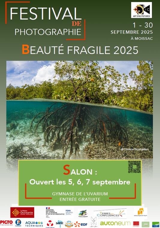 Beauté fragile 2025_Moissac