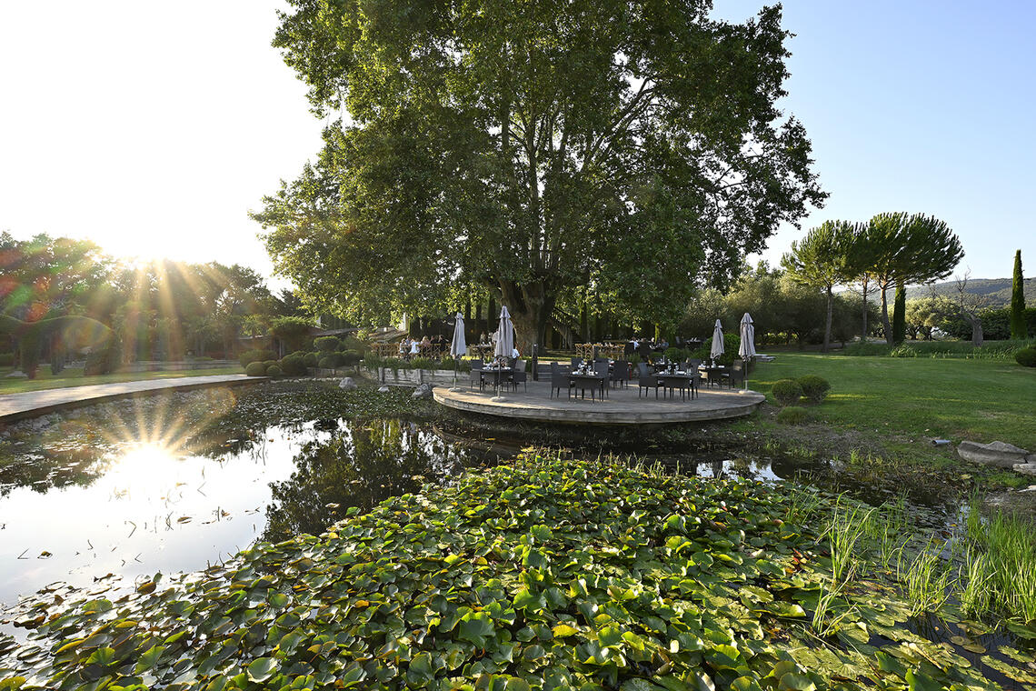Le Platane des Andéols_Saint-Saturnin-lès-Apt