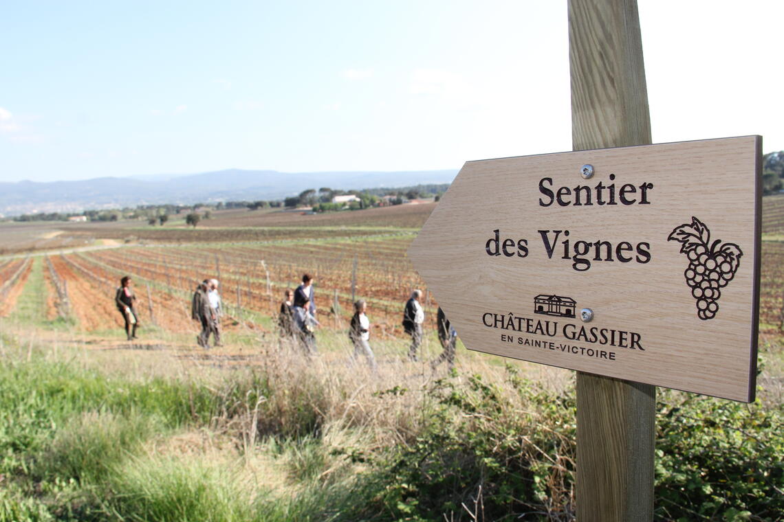 Sentier des vignes