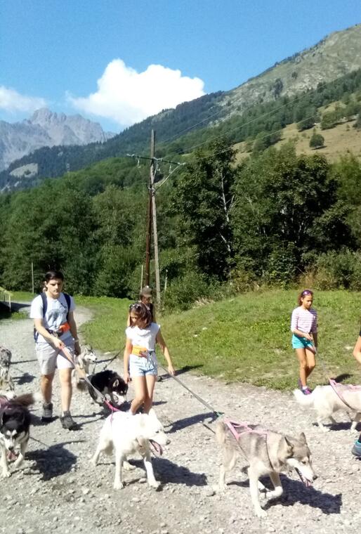 Cani Balade_Oz-en-Oisans