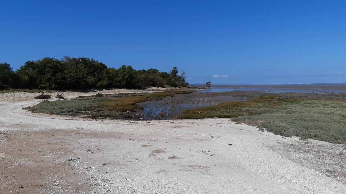 La baie d'Yves au fil des Temps - Le Magnou entre Terre et Mer_Fouras-les-Bains