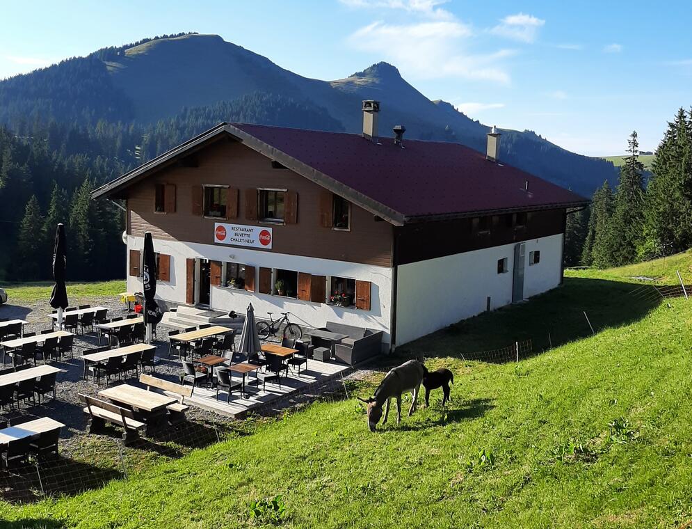 Chalet neuf