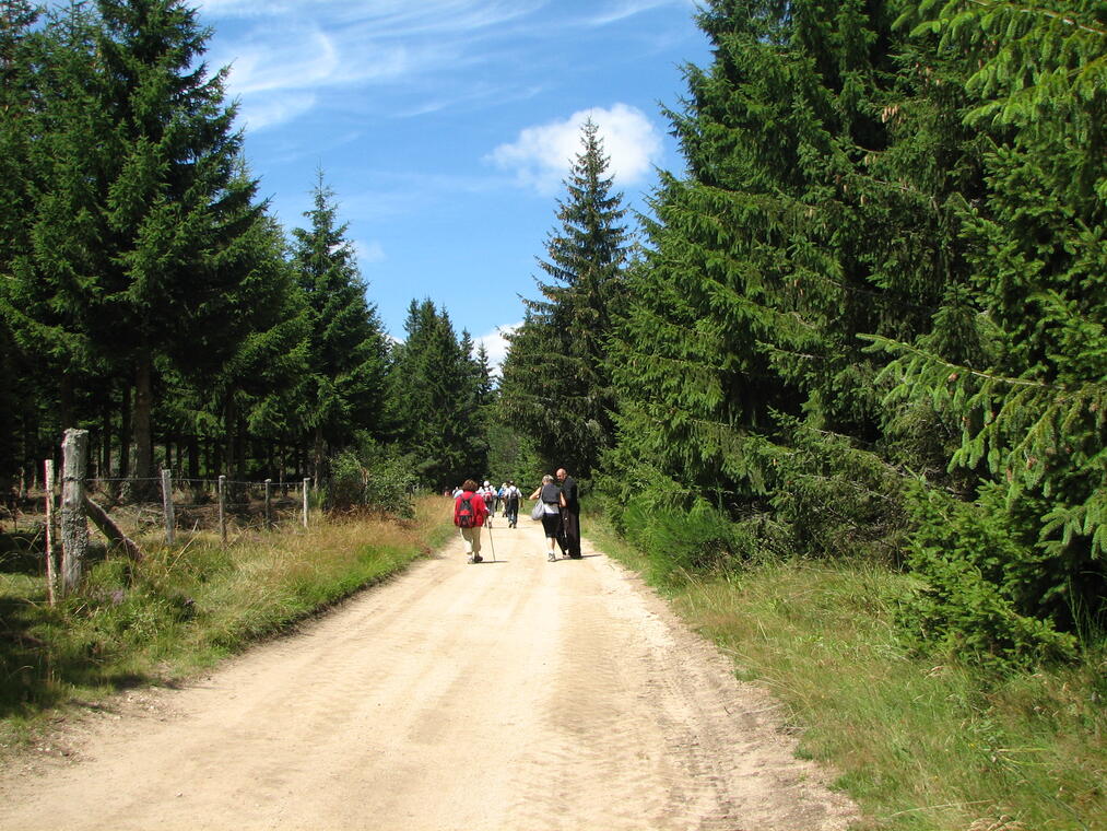 Vallée du Haut Lignon